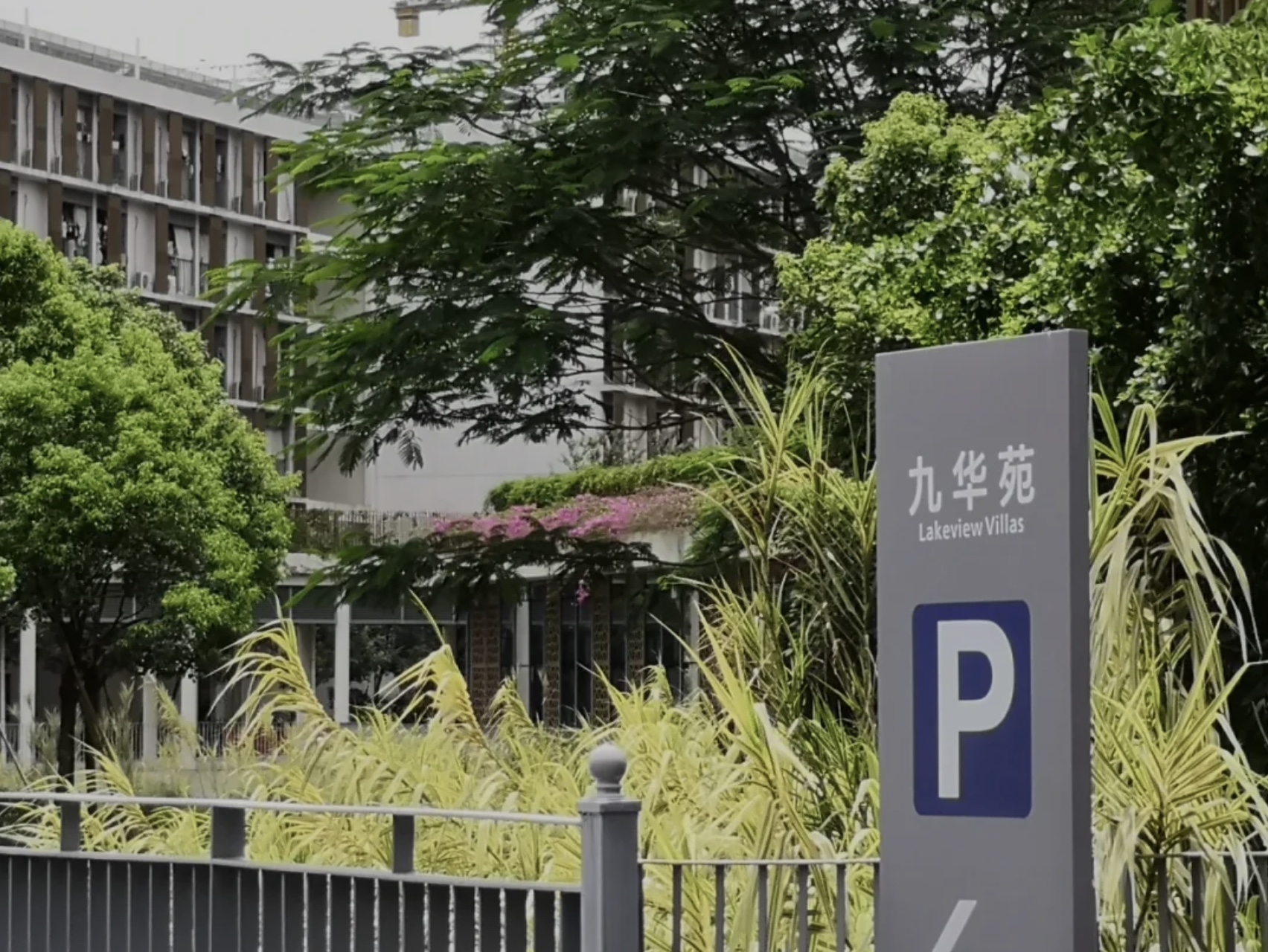 Snipaste_2021-07-11_22-27-10